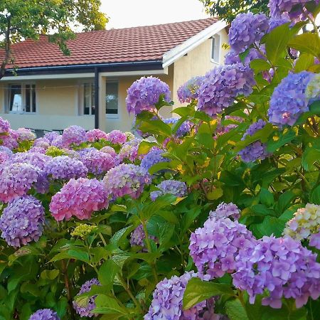 Cvjetni Apartmani Cetinje Exterior foto